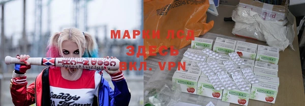 шишки Магас