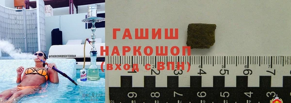 шишки Магас