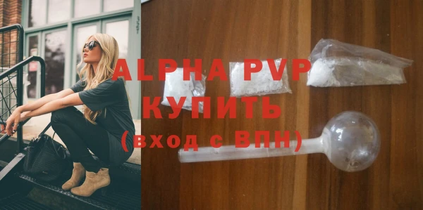 шишки Магас