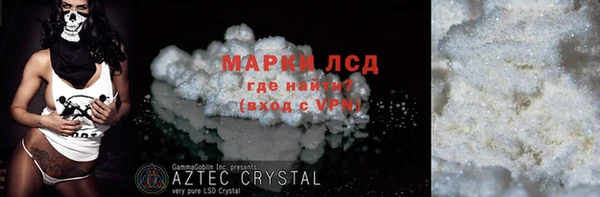 шишки Магас