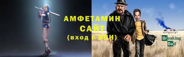 шишки Магас