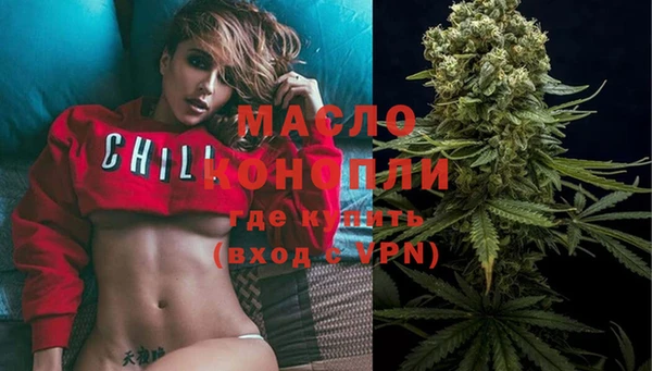 шишки Магас