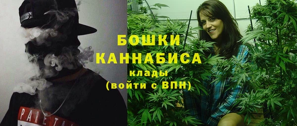 шишки Магас