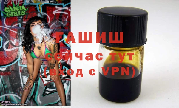 шишки Магас