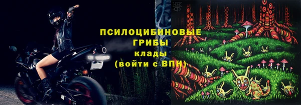 шишки Магас